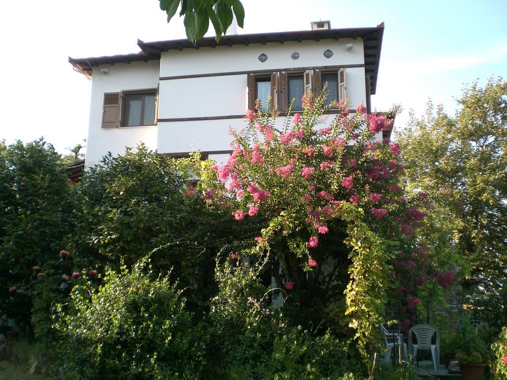 Pension Panos Áyios Dhimítrios Exteriér fotografie