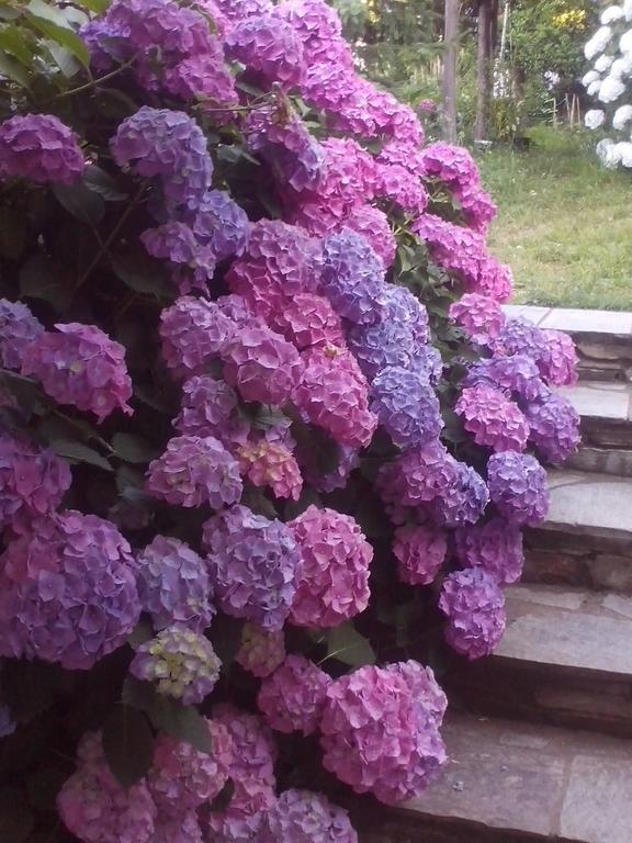 Pension Panos Áyios Dhimítrios Exteriér fotografie